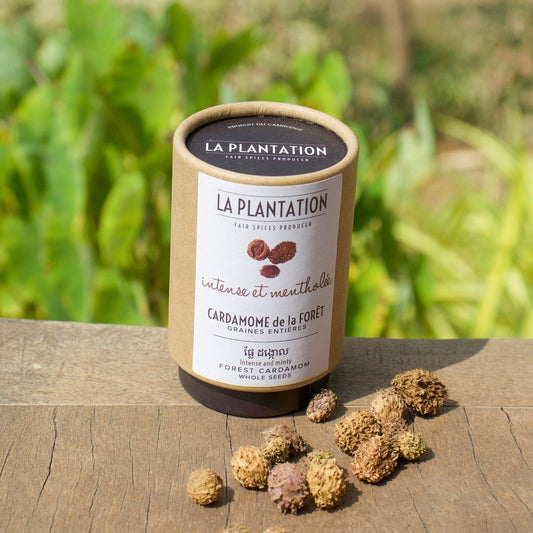 Cardamome de la forêt - graines entières