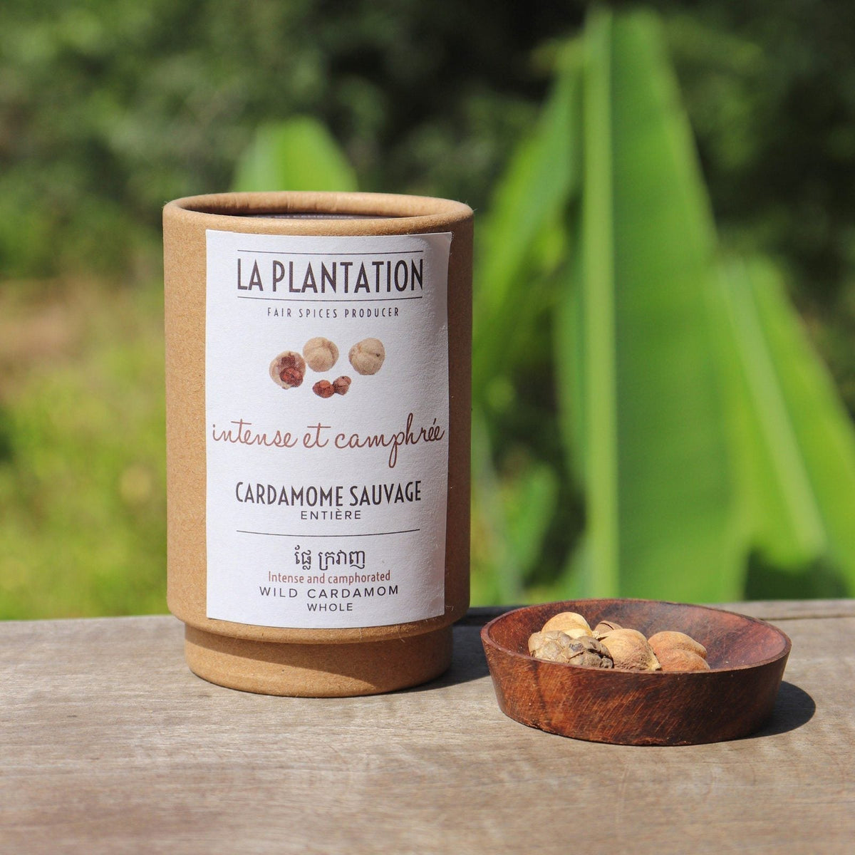 Cardamome sauvage - entière