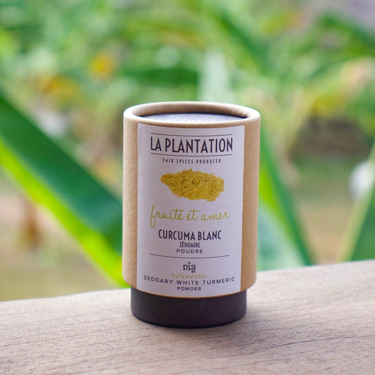 Curcuma blanc - poudre